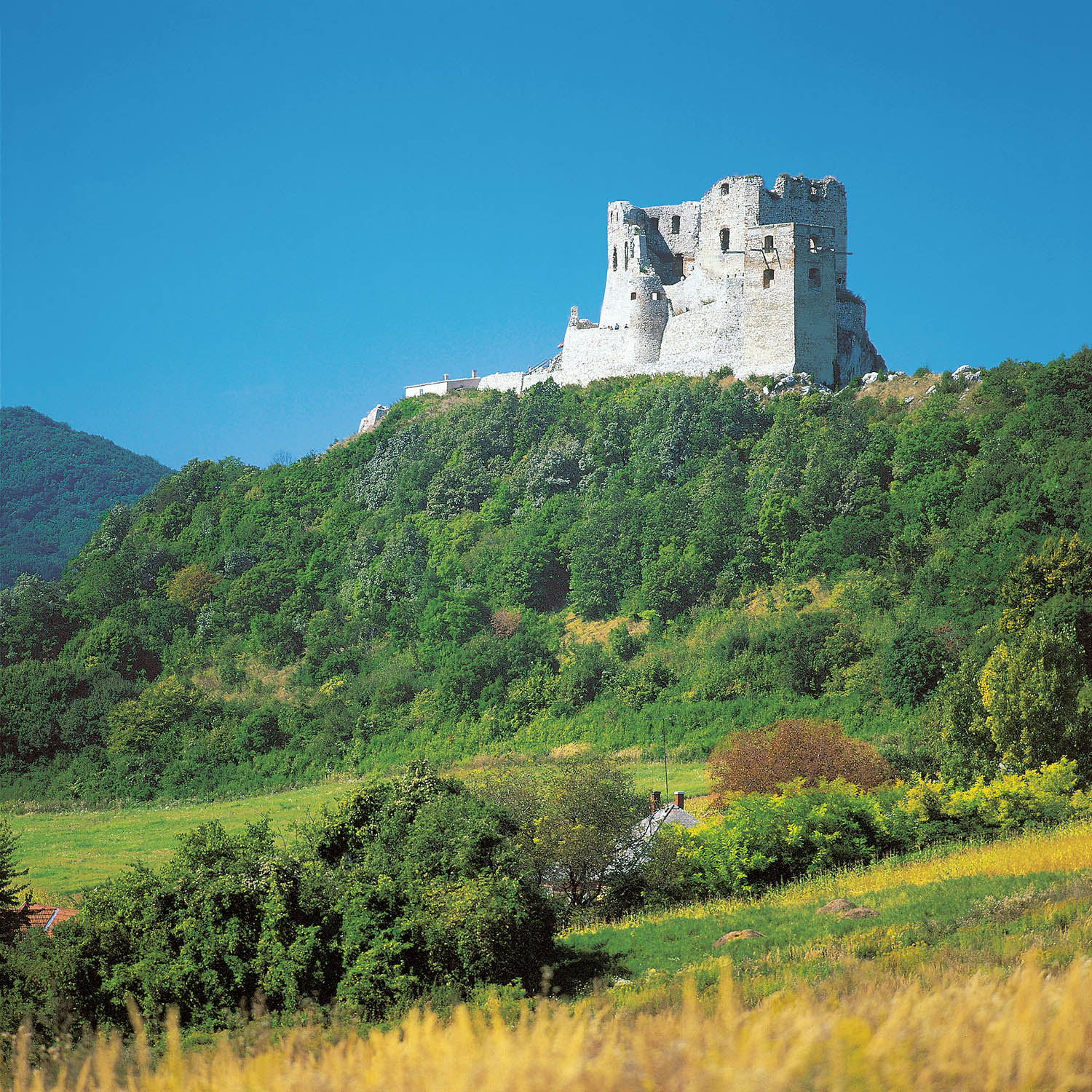cseszneki var
