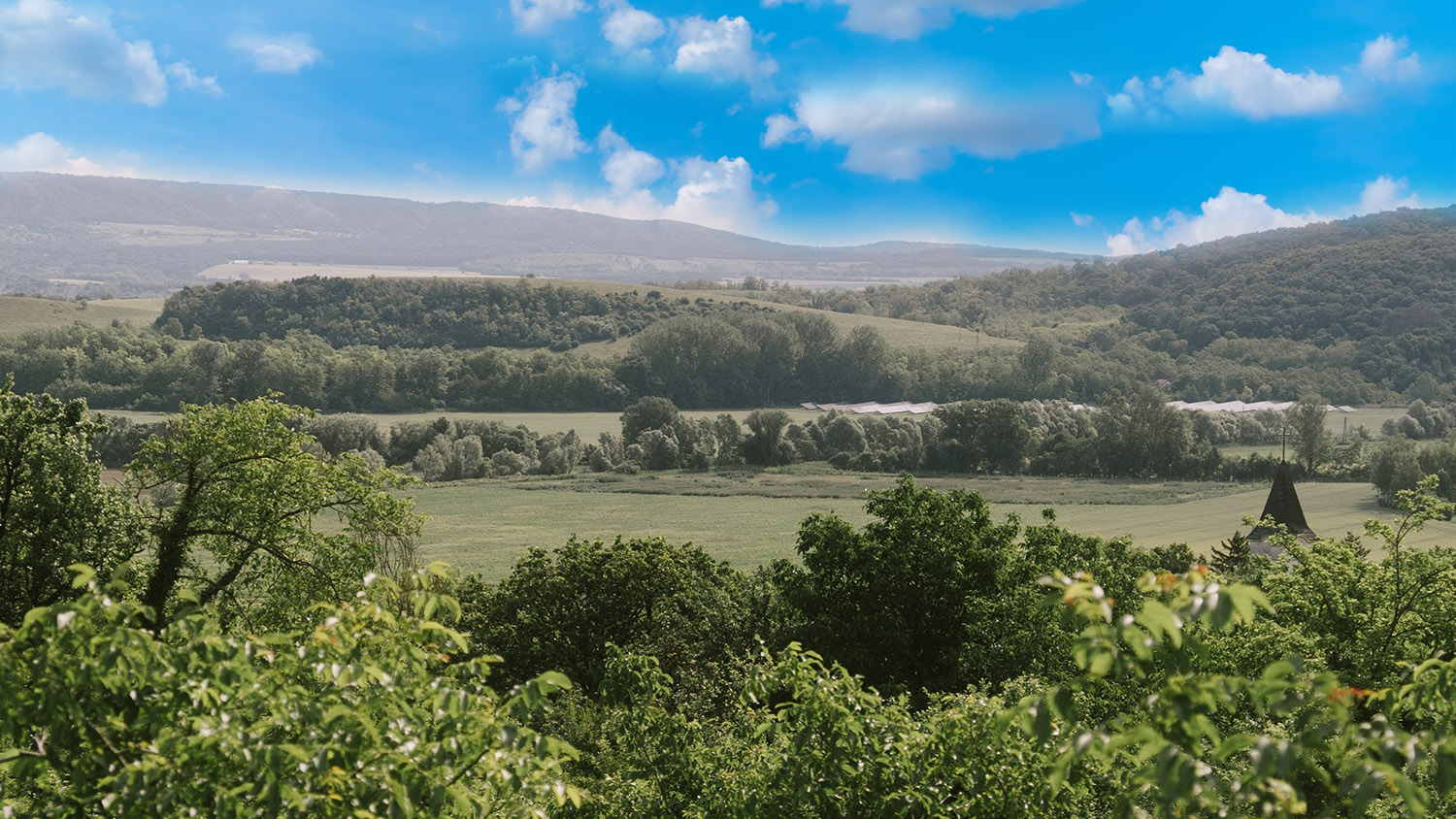 Kisgyóni letűnt bányászfalu, Tűzköves-árok, jura kori ammonitesz fosszília